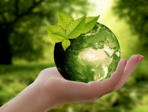 Parry & Associati e la sostenibilità